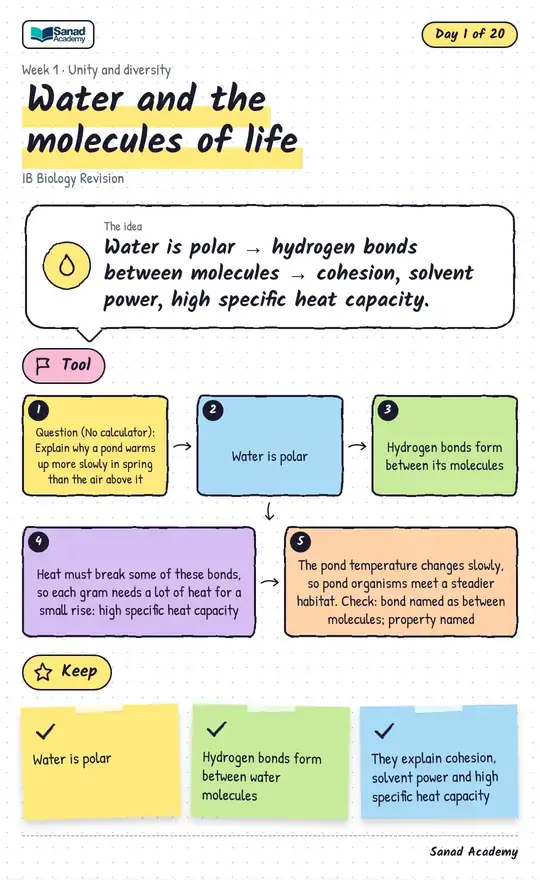 IB Biology Revision · Water and the molecules of life